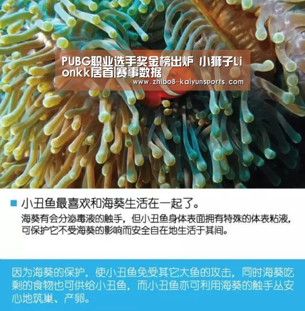 PUBG职业选手奖金榜出炉 小狮子Lionkk居首|赛事数据(图1) 赛事数据
