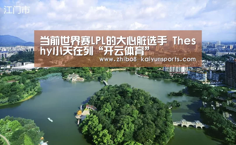 当前世界赛LPL的大心脏选手 Theshy小天在列“开云体育”(图1) 赛事数据